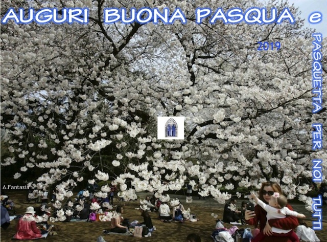 PAsqua 19